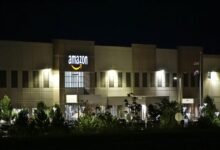 next level analytics services